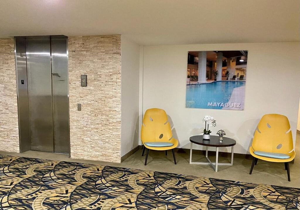 Ficus Hotel San Juan Extérieur photo